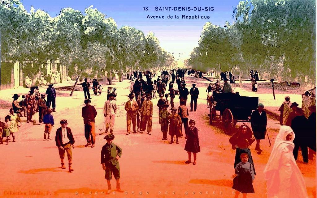 Saint Denis du Sig - Avenue de la Republique.jpg